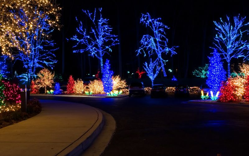 Holiday Lighting Installations