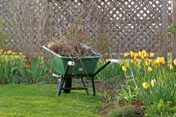 Flower Bed Cleanup Service in Brownsville