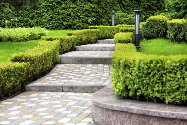 Backyard Remodeling in Brownsville