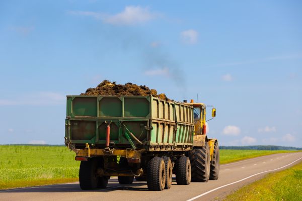 Bulk Soil Delivery in Brownsville