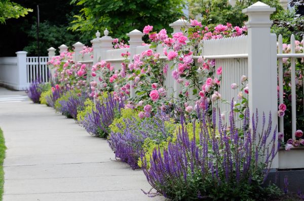 Garden Handyman Service in Brownsville