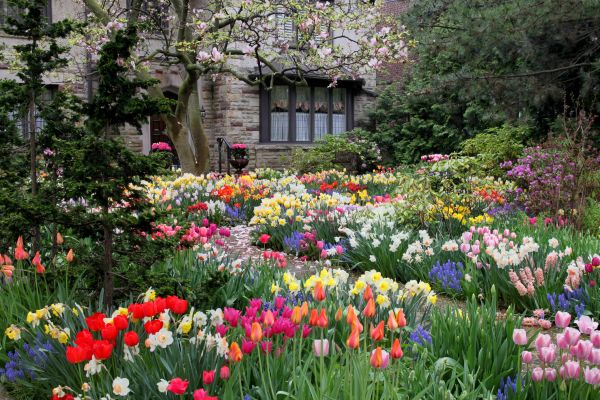 Garden Maintenance Service in Brownsville