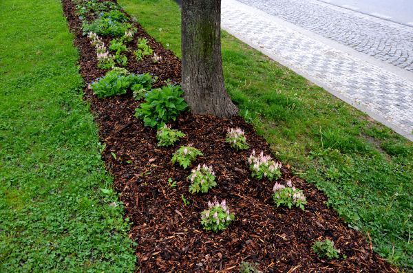 Mulch Replacement Service in Brownsville