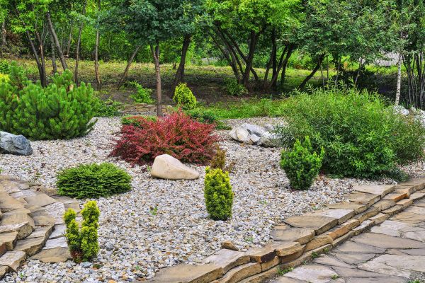 Rock Landscaping in Brownsville