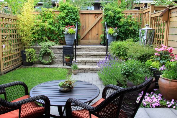 Small Yard Landscaping in Brownsville