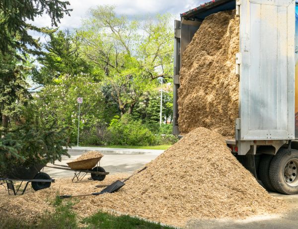 Wood Chips Delivery in Brownsville