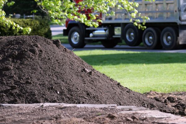 Yard Dirt Delivery in Brownsville