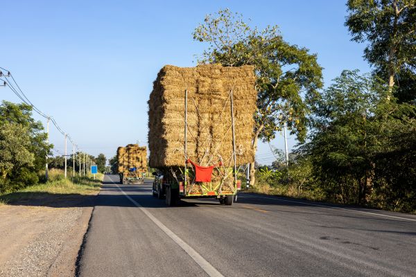 Pine Straw Delivery in Brownsville