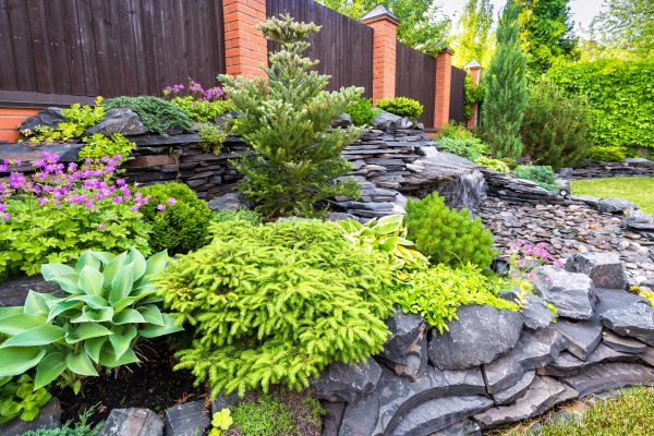 Landscape Remodeling in Brownsville