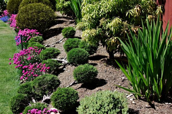 Residential Gardening in Brownsville