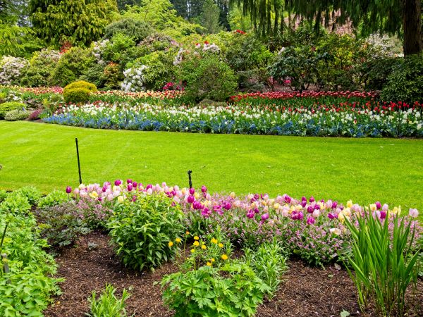 Residential Landscape Design in Brownsville