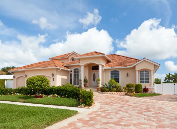 Landscape Curb Appeal Service in Brownsville