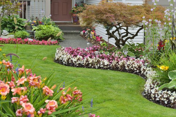 Perennial Landscaping in Brownsville
