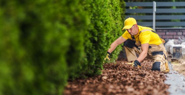 Cypress Mulch Installation in Brownsville
