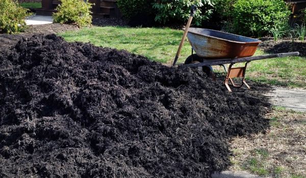 Black Mulch Installation in Brownsville