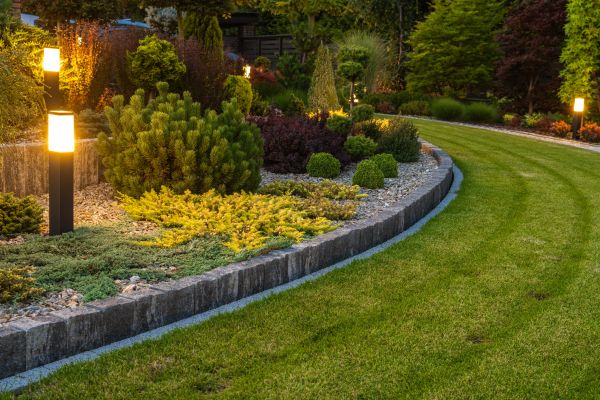 Garden Repair Service in Brownsville
