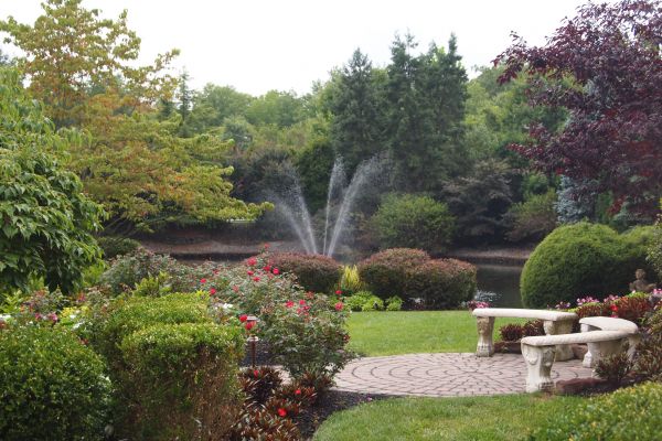 Courtyard Design Service in Brownsville