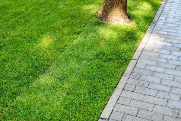 Border Stone Installation in Brownsville