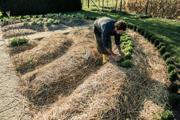 Straw Mulching Service in Brownsville