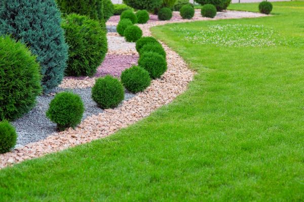 Edging Stones Installation in Brownsville