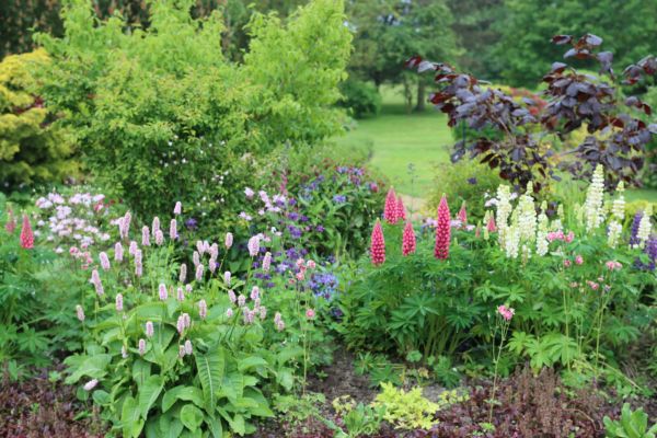 Flower Bed Planting in Brownsville