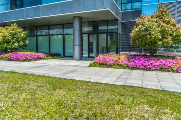Commercial Gardening in Brownsville