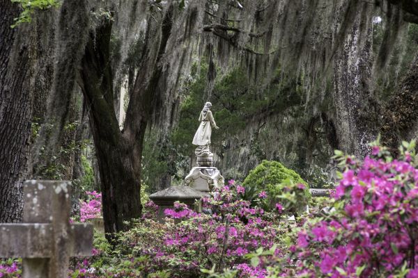 Cemetery Landscaping in Brownsville