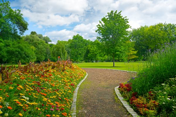 Park Landscaping in Brownsville