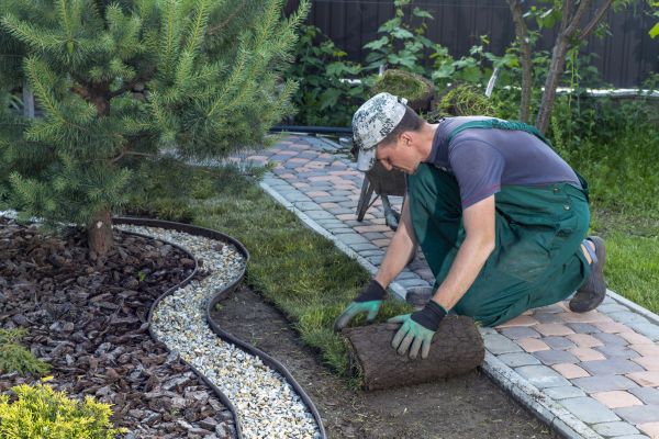 Landscaping Modification in Brownsville