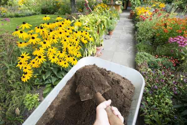 Topsoil Replacement in Brownsville