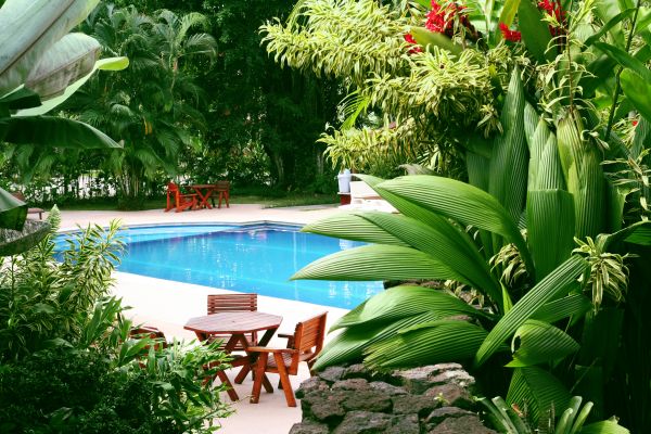 Pool Area Landscaping in Brownsville