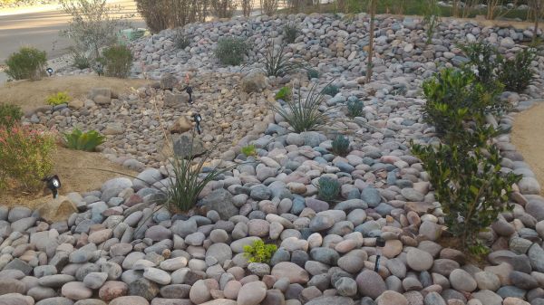 Yard Xeriscaping in Brownsville