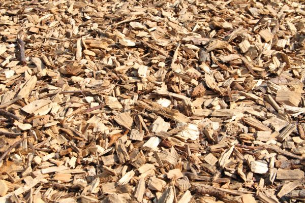 Wood Mulch Delivery in Brownsville