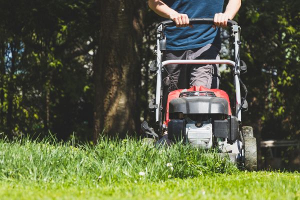 Garden Trimming Service in Brownsville