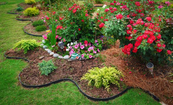 Floral Landscaping in Brownsville