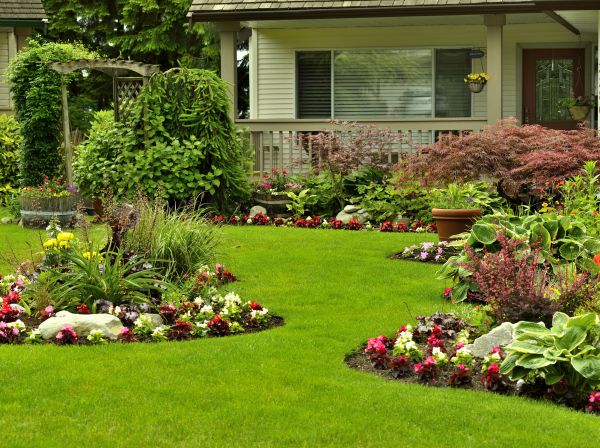 Flower Garden Planting in Brownsville
