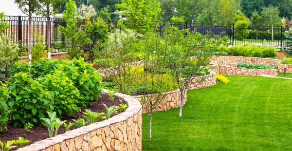 Yard Makeover Service in Brownsville