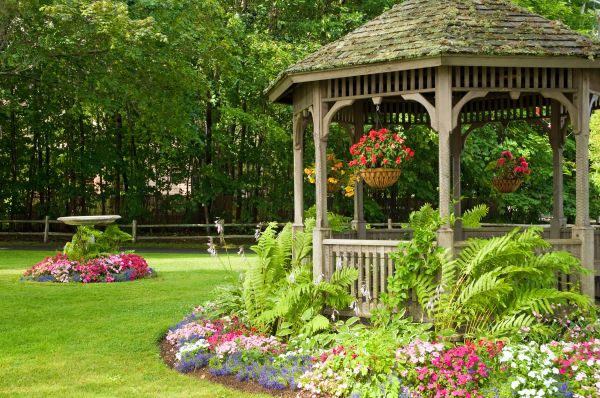 Backyard Landscaping Service in Brownsville