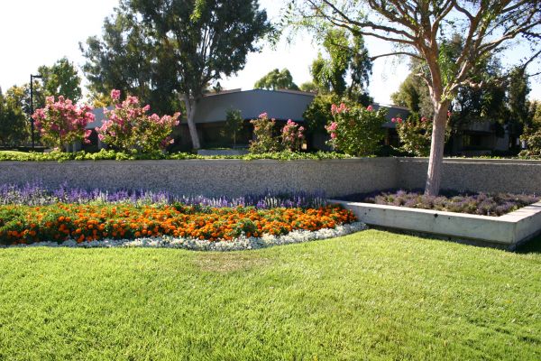 Commercial Landscape Service in Brownsville