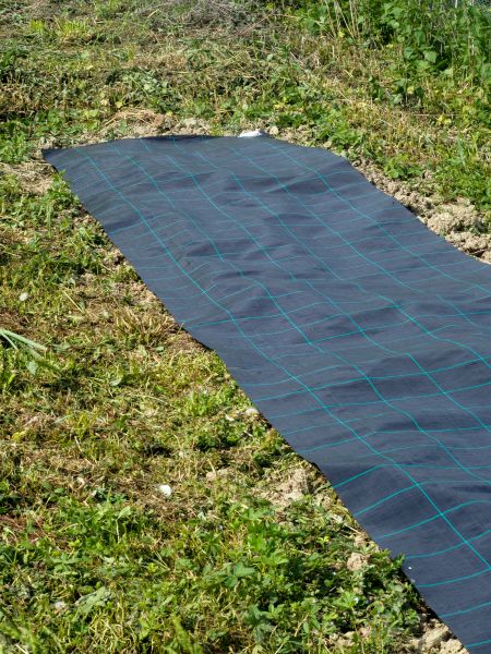 Weed Suppressant Installation in Brownsville