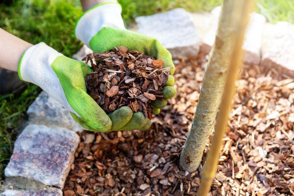 Tree Bark Delivery in Brownsville