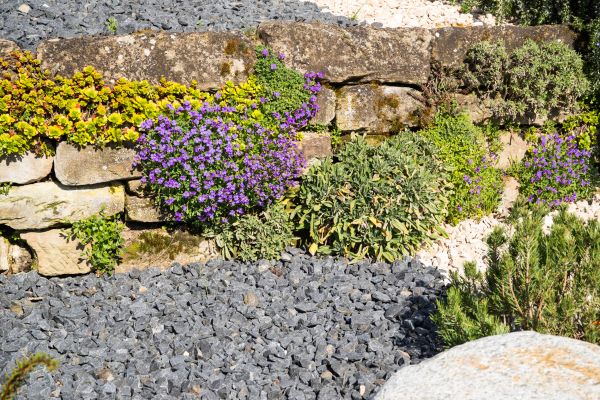 Landscaping Rocks Installation in Brownsville