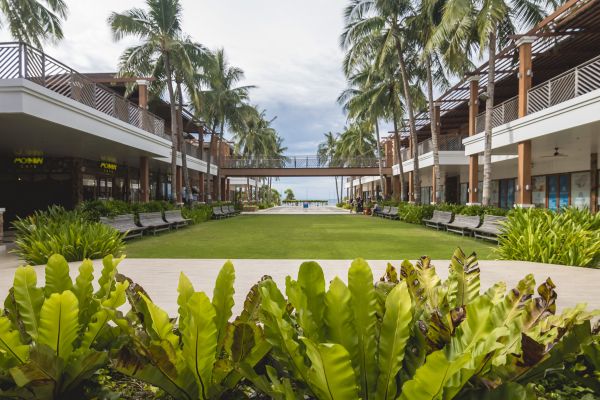 Commercial Lawn Renovation in Brownsville