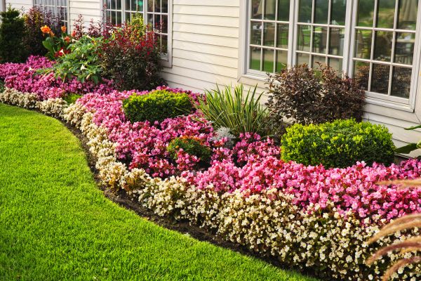 Garden Landscape Design in Brownsville
