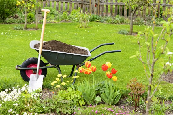 Spring Yard Renovation in Brownsville