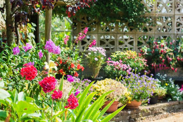 Spring Garden Maintenance in Brownsville