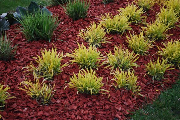 Red Mulch Installation in Brownsville