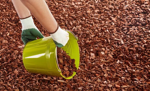 Wood Chip Landscaping in Brownsville