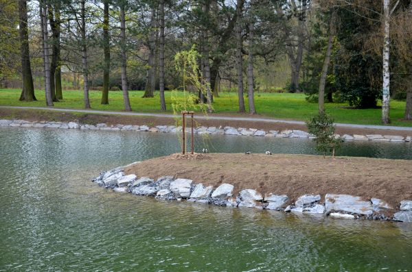 Pond Landscaping Service in Brownsville