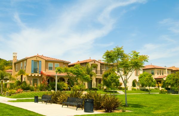 Community Landscaping in Brownsville